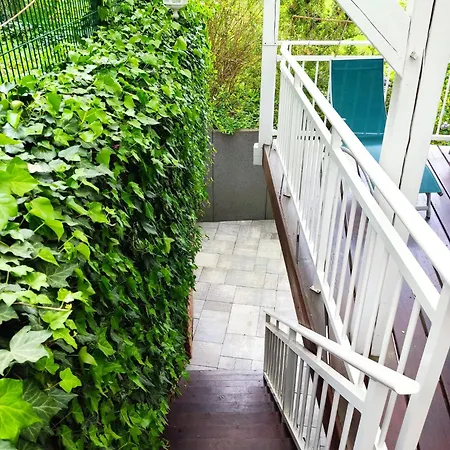 Les Acacias 3 Pieces Avec Terrasse Et Parking